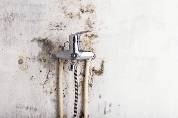 Best DIY Mold Remediation Support Services in Myrtletown, CA