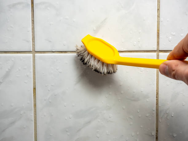 Best Insurance-Related Mold Remediation in Myrtletown, CA