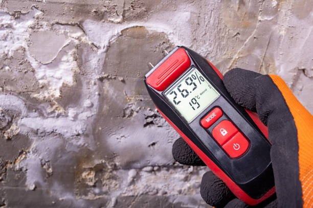 Best Basement Mold Remediation in Myrtletown, CA