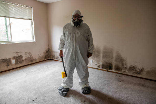 Best Emergency Mold Remediation in Myrtletown, CA